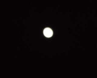 pp6520120408032.jpg